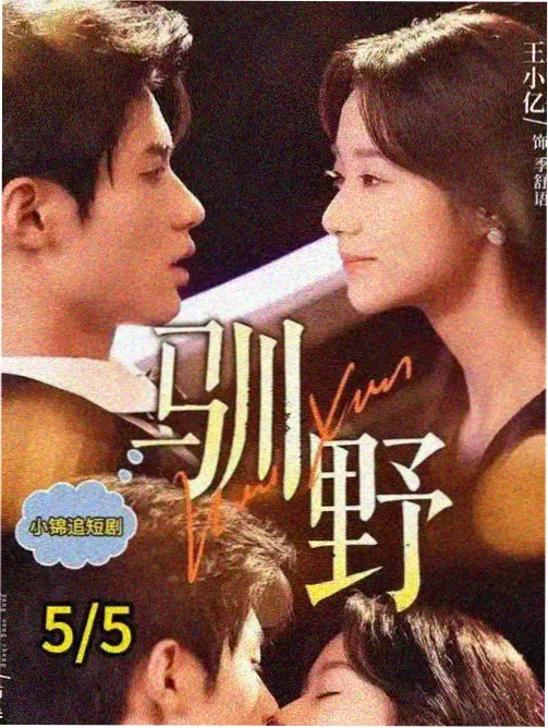 归途列车 电视剧在线观看高清